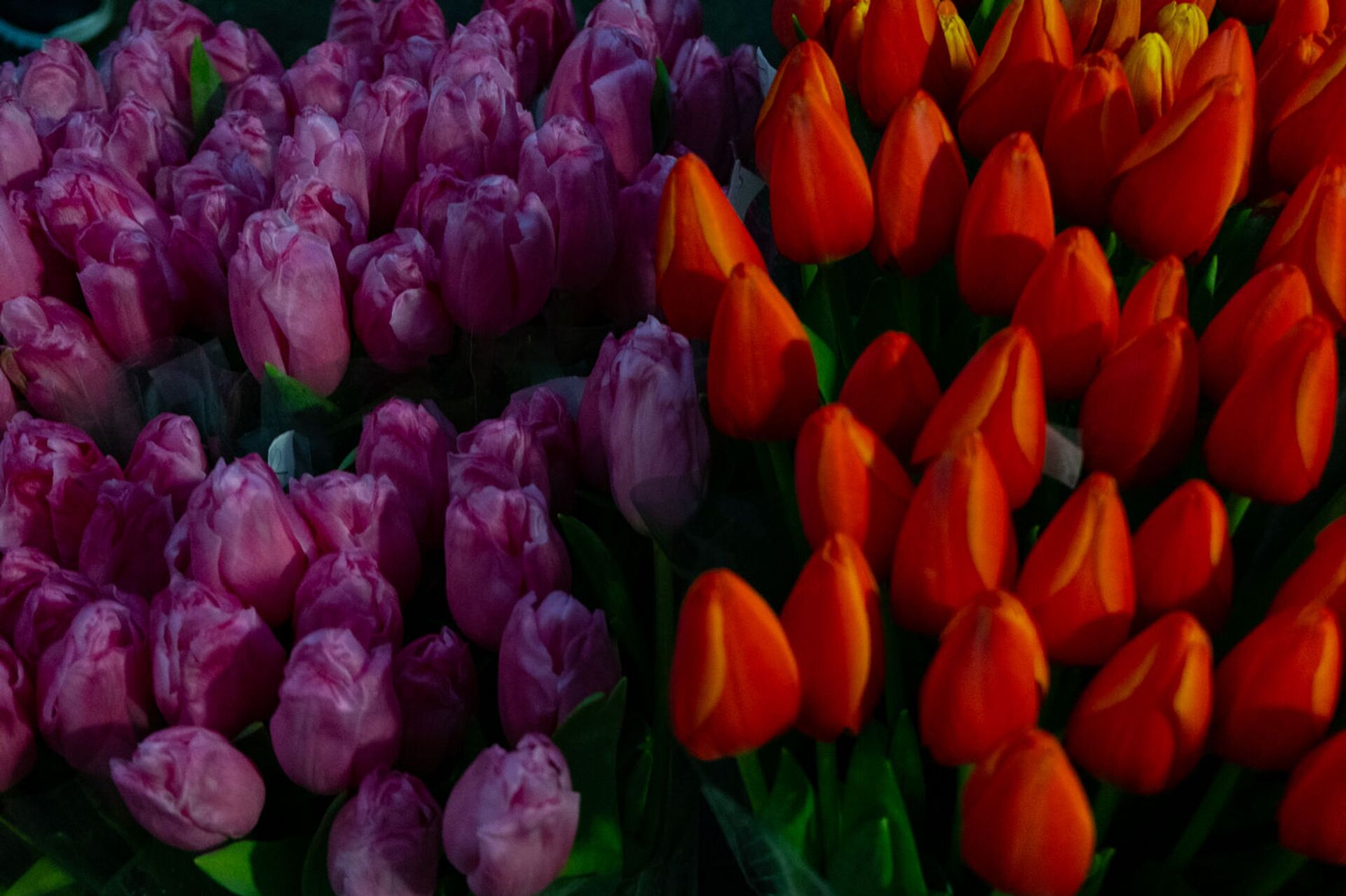 Как признаться девушке в чувствах с помощью букета на 8 марта? - Sputnik Армения, 1920, 07.03.2021