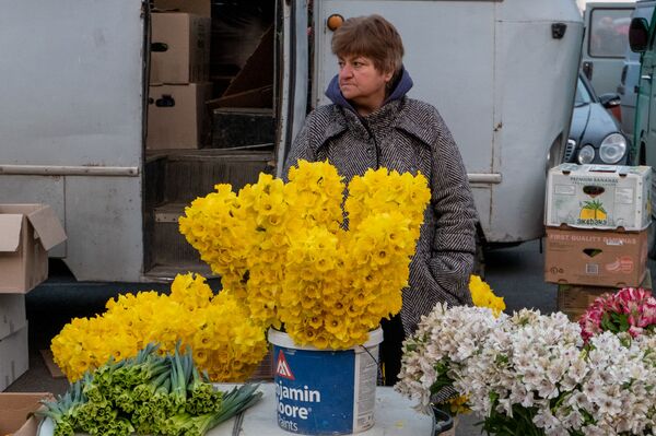 Скрытые миллионеры и демпинг: чем живет цветочный рынок Армении Скрытые миллионеры и демпинг: чем живет цветочный рынок Армении - Sputnik Армения