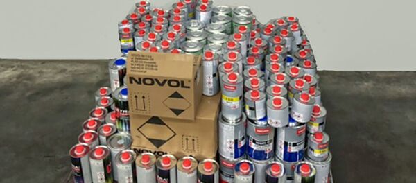 Акриловый лак изъятый на Баграташенской таможне - Sputnik Армения