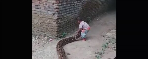 Малыш и питон Малыш и питон - Sputnik Армения