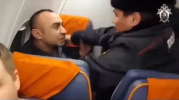 Пьяный пассажир устроил авиадебош на борту рейса Оренбург - Москва - Sputnik Արմենիա