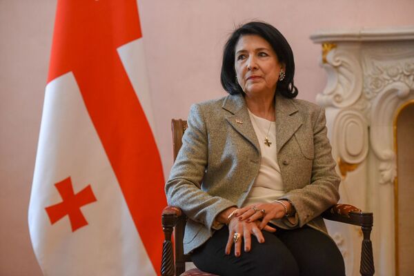 Неприемлемо для Грузии: все о скандале в Тбилиси из-за оскорбления Путина - Sputnik Армения