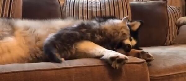 Счастливчики Счастливчики - Sputnik Армения