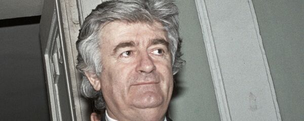 Радован Караджич. - Sputnik Армения