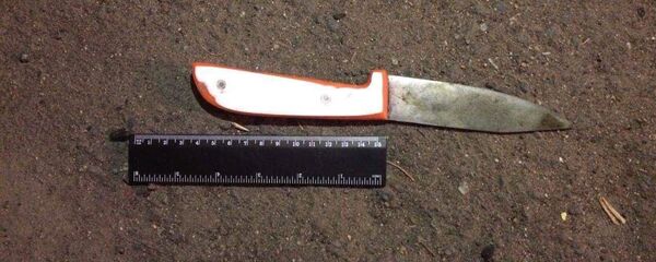 нож нож - Sputnik Արմենիա