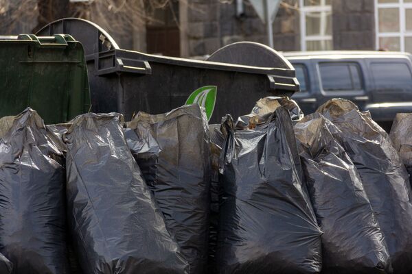 Полчища крыс и тараканов: почему только вонью от мусорных куч Ереван не отделается Полчища крыс и тараканов: почему только вонью от мусорных куч Ереван не отделается - Sputnik Армения