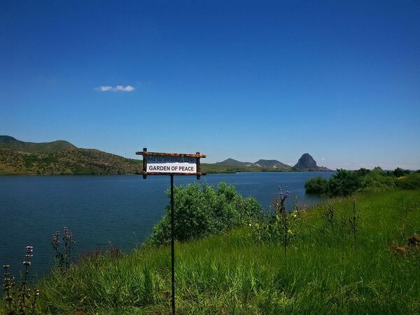 Сад мира по-армянски: отец и сын растят волшебную хурму близ азербайджанских постов - Sputnik Армения