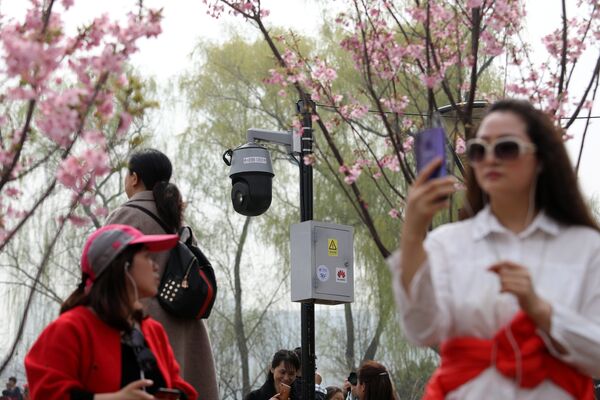 Люди фотографируются с цветущей вишней в Пекине - Sputnik Армения