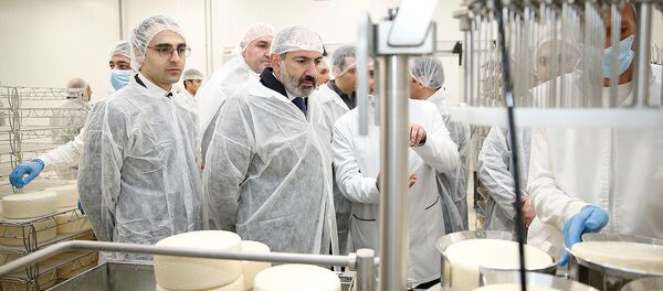 Премьер-министр Никол Пашинян принял участие на торжественном открытии молочного завода компании Спайка (26 марта 2019). Еревaн - Sputnik Армения
