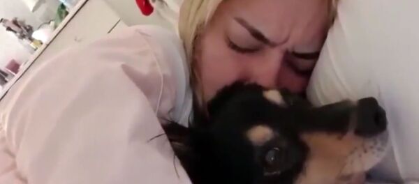 Собака утешает красивую хозяйку во время обстрела в Израиле Собака утешает красивую хозяйку во время обстрела в Израиле - Sputnik Армения