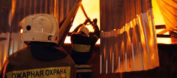 Пожар на складе кормов для животных на западе Москвы - Sputnik Армения