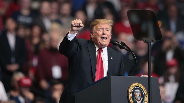 Президент Дональд Трамп выступает перед сторонниками во время митинга на арене Ван Андел (28 марта 2019). Гранд-Рапидс, штат Мичиган - Sputnik Արմենիա
