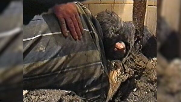 Ручная работа: как армянский учёный потерял протез и в канализацию полез - Sputnik Армения