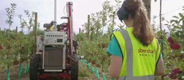 Робот-трактор собирает урожай Робот-трактор собирает урожай - Sputnik Արմենիա