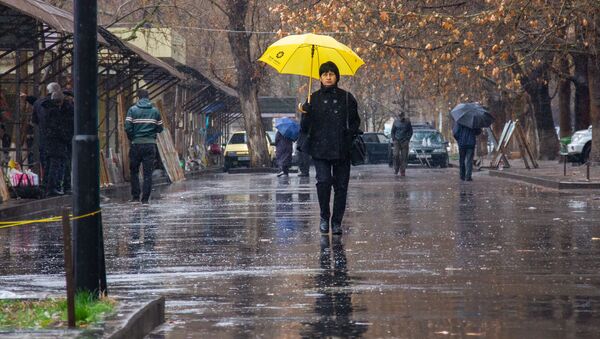 Дождливая погода - Sputnik Армения