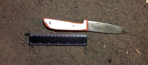 Обнаруженный нож на месте увийства Обнаруженный нож на месте увийства - Sputnik Արմենիա