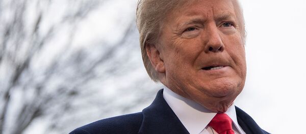 Президент США Дональд Трамп ответил на вопросы журналистов перед вылетом в Новый Орлеан, штат Луизиана (14 января 2019). Вашингтон - Sputnik Армения