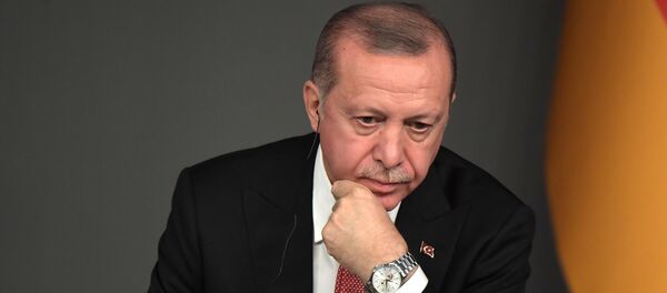 Рабочий визит президента РФ В. Путина в Турцию - Sputnik Армения