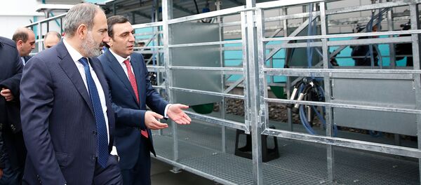 Премьер-министр Никол Пашинян принял участие на торжественном открытии молочного завода компании Спайка (26 марта 2019). Еревaн - Sputnik Армения