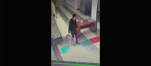 Особый осмотр на Баграташенской таможне - Sputnik Армения