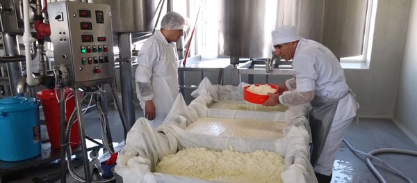 В армянских горах делают сыр с русским названием В армянских горах делают сыр с русским названием - Sputnik Армения