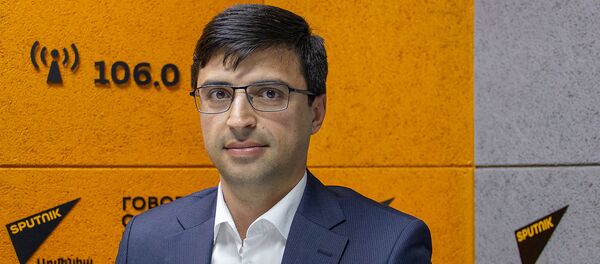 Начальник управления политики доходов и методологии администрирования Минфина Ори Алавердян Начальник управления политики доходов и методологии администрирования Минфина Ори Алавердян - Sputnik Армения