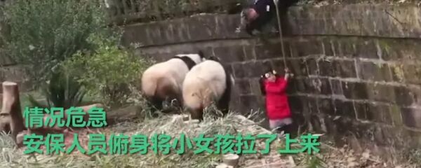 Люди спешат спасти девочку, упавшую к пандам Люди спешат спасти девочку, упавшую к пандам - Sputnik Армения