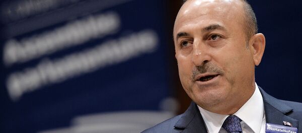 Министр иностранных дел Турции Мевлют Чавушоглу выступает с речью в Парламентской ассамблее Совета Европы (12 октября 2016). Страсбург - Sputnik Армения