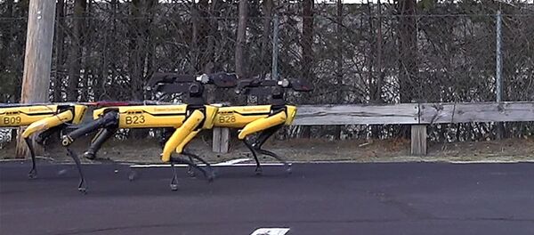 Роботы Boston Dynamics таскают грузовик Роботы Boston Dynamics таскают грузовик - Sputnik Արմենիա