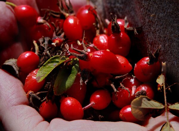 Հնարավո՞ր է ուտել և նիհարել. հայկական խոհանոցի թոփ 5 մթերատեսակ՝ գեղեցիկ կազմվածքի համար Հնարավո՞ր է ուտել և նիհարել. հայկական խոհանոցի թոփ 5 մթերատեսակ՝ գեղեցիկ կազմվածքի համար - Sputnik Արմենիա