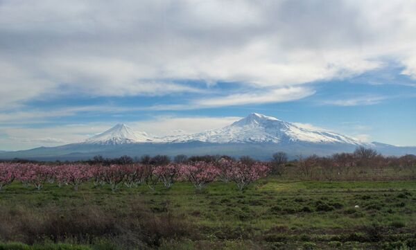 Նրանք նշան են բռնում, բայց չեն կրակում. Արցախում վիրավորվածները նոր զբաղմունք են գտել - Sputnik Արմենիա