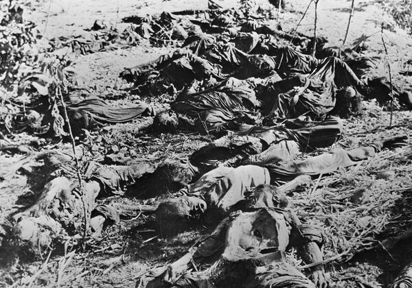 Геноцид армян как предтеча новых преступлений: сколько их было? - Sputnik Армения