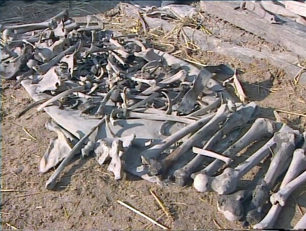 Едва не поседел от увиденного: заброшенный колодец открыл тайну геноцида в спитакском селе Едва не поседел от увиденного: заброшенный колодец открыл тайну геноцида в спитакском селе - Sputnik Армения