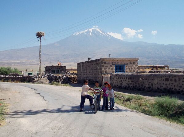 Вид на Большой Арарат из курдского поселка - Sputnik Армения