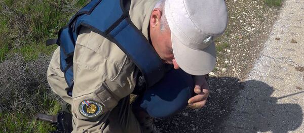 Сопер Ваган Тадевосян - Sputnik Արմենիա