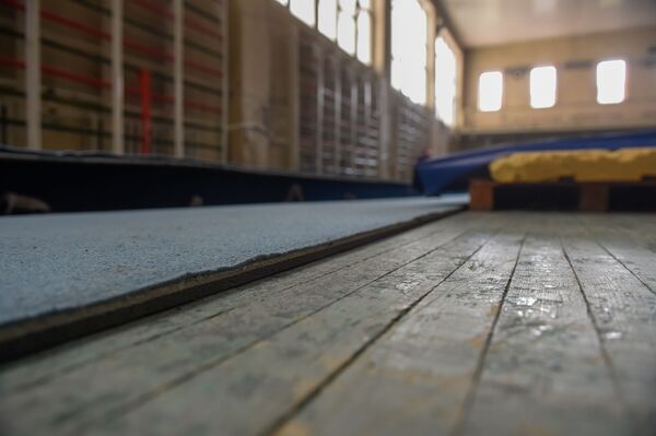 Ребус и феномен армянского спорта: медалей от гимнастов ждут, но азарянов так не растят Ребус и феномен армянского спорта: медалей от гимнастов ждут, но азарянов так не растят - Sputnik Армения