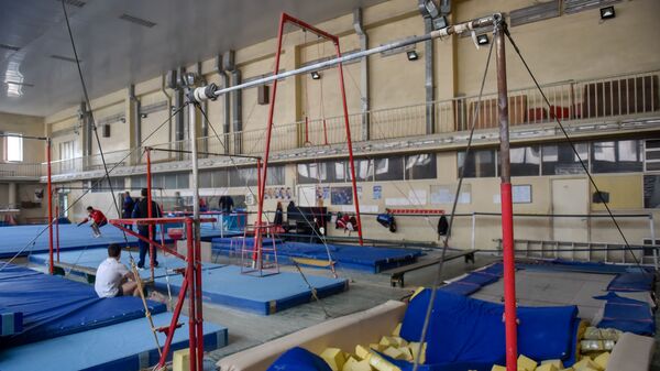 Перекладины в тренировочном зале школы олимпийского резерва по гимнастике имени Альберта Азаряна - Sputnik Армения