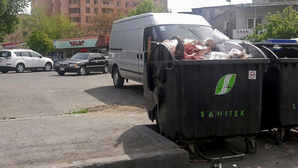 Рога и копыта в мусорном контейнере в центре Еревана - Sputnik Արմենիա