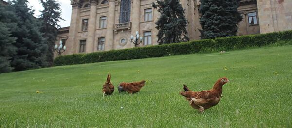Акция инициативы Аазанг по недопущению равенства подоходного налога (2 мая 2019). Еревaн - Sputnik Արմենիա