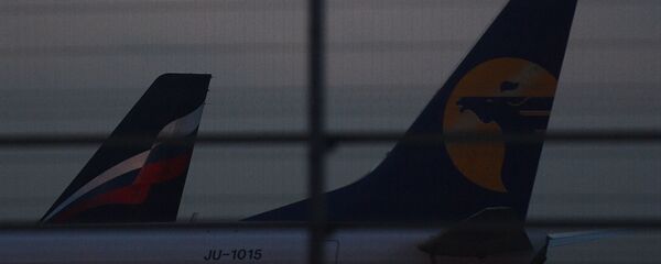 Ситуация в аэропорту Шереметьево Ситуация в аэропорту Шереметьево - Sputnik Армения