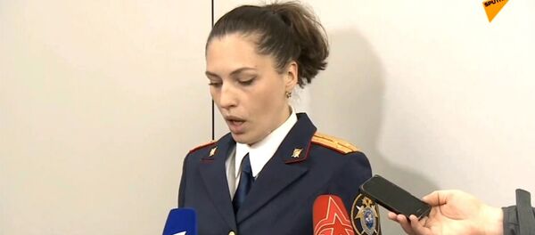 Заявление СК России по возгаранию самолета в аэропорту Шереметьево - Sputnik Армения