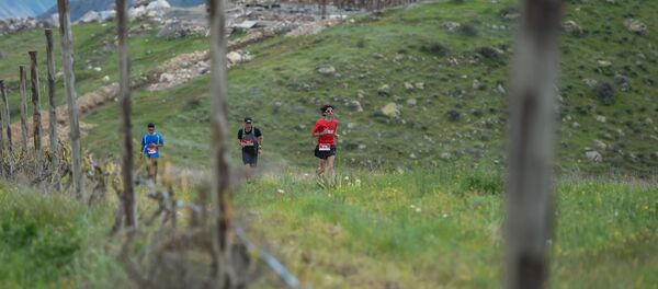 Марафонский забег Vineyard Trial Armenia - Sputnik Արմենիա