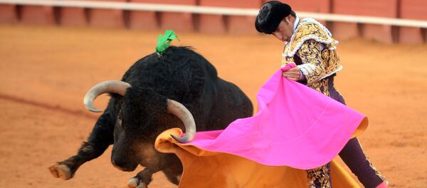 Испанский тореадор Дэвид Фандила Эль Фанди выполняет пас быку с капоте во время боя быков (11 мая 2019). Севилья - Sputnik Армения