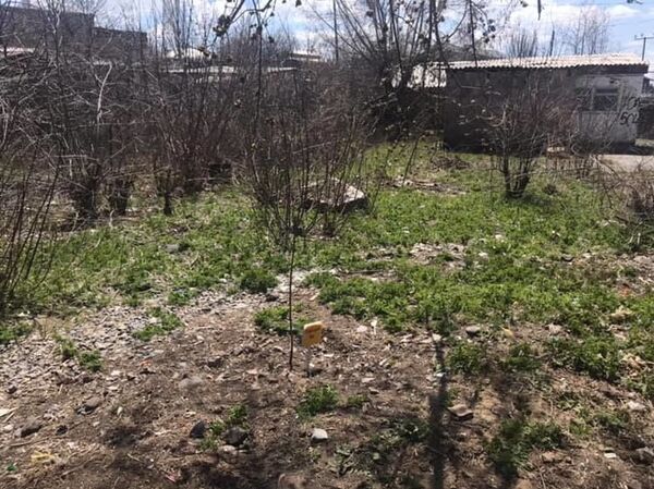 Գյումրեցի պատանի Միքայելը կատարեց վարչապետ Փաշինյանին տված խոստումը. տարածքը մաքրված է - Sputnik Արմենիա