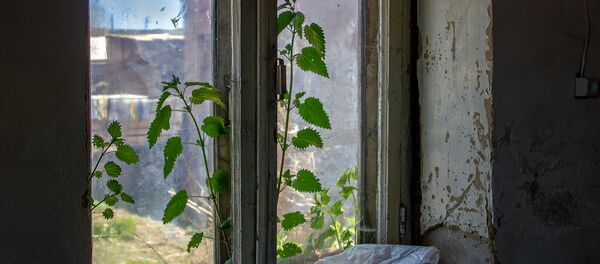 Комната в обрушенном доме в селе Хнаберд, Арагацотн - Sputnik Армения