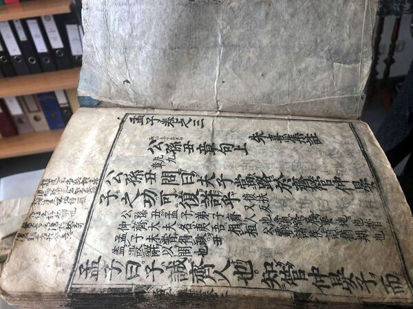 Древнейший паспорт Ширака: японский профессор сделал уникальный подарок Армении - Sputnik Армения