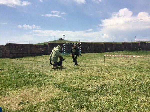 Մեկ օր նրանց կյանքով. ռուս սահմանապահներն իրենց հմտությունները սովորեցրին հայ երեխաներին Մեկ օր նրանց կյանքով. ռուս սահմանապահներն իրենց հմտությունները սովորեցրին հայ երեխաներին - Sputnik Արմենիա