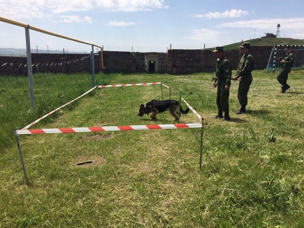 Хочешь мира...: российские пограничники показали свои умения армянским школьникам - Sputnik Армения