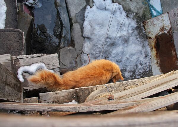 Старые дома на улице Бюзанда Старые дома на улице Бюзанда - Sputnik Արմենիա