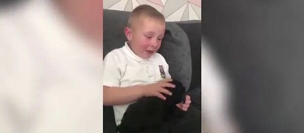 Реакция мальчика на подарок - Sputnik Армения